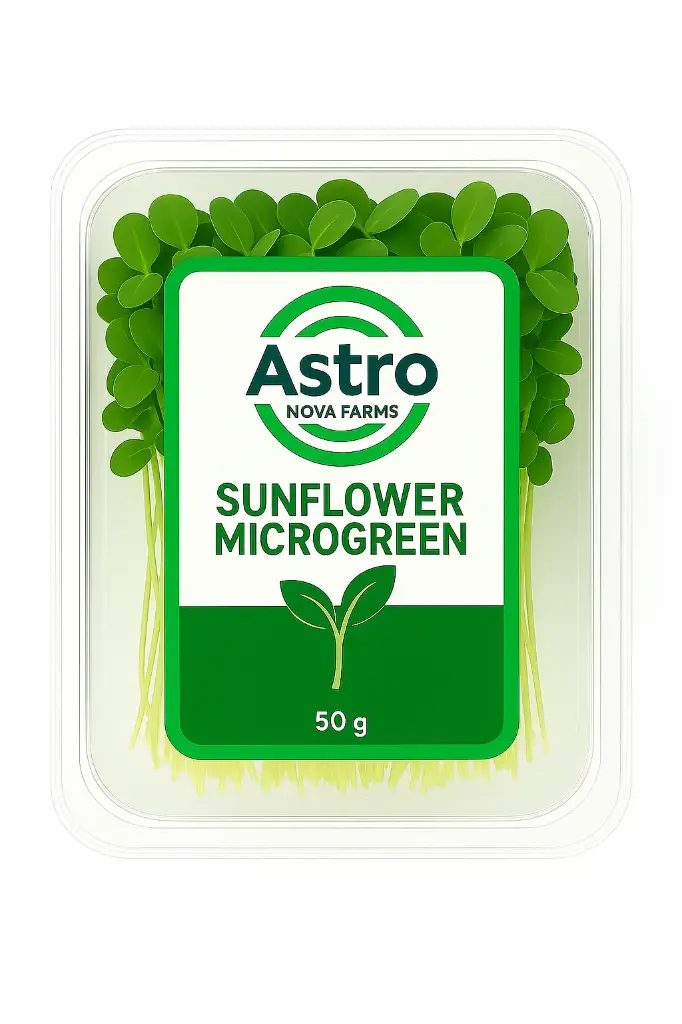 Sunflower Microgreen