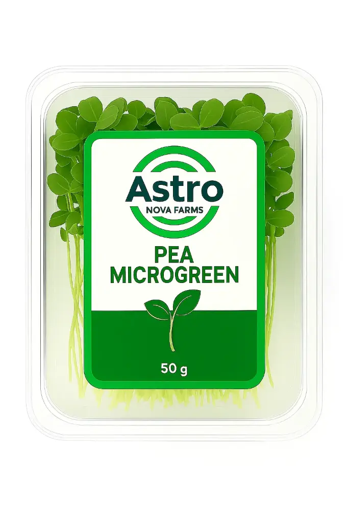 Pea Microgreen