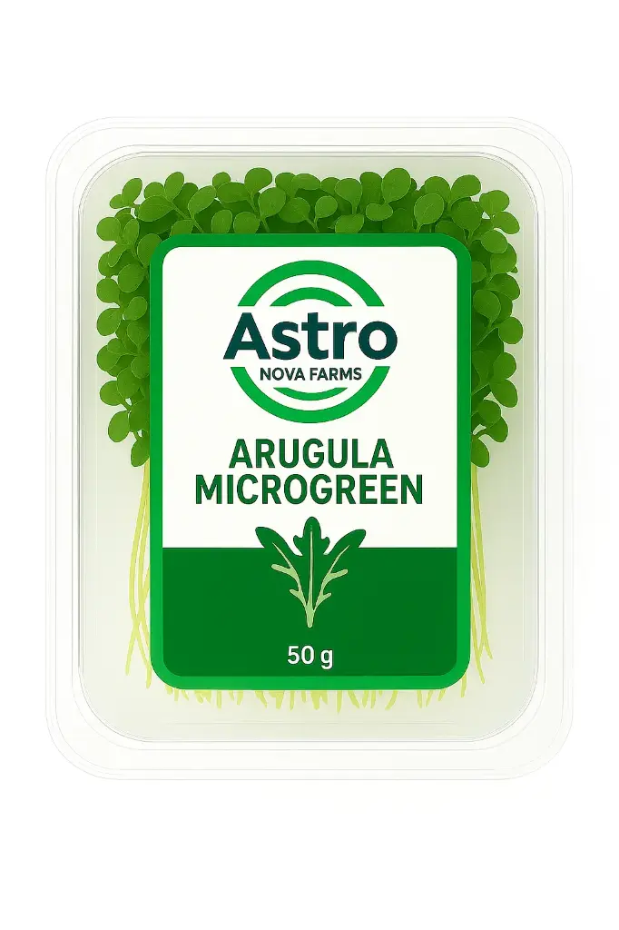 Arugula Microgreen