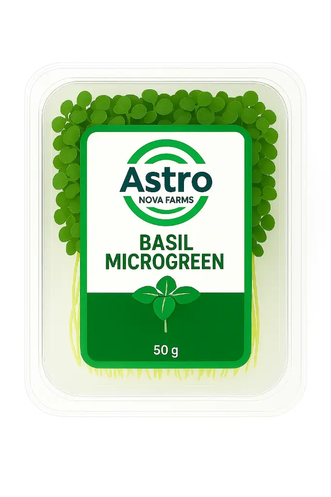 Basil Microgreen