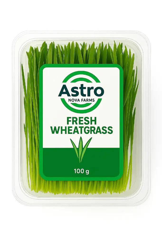Fresh Wheatgrass Microgreens