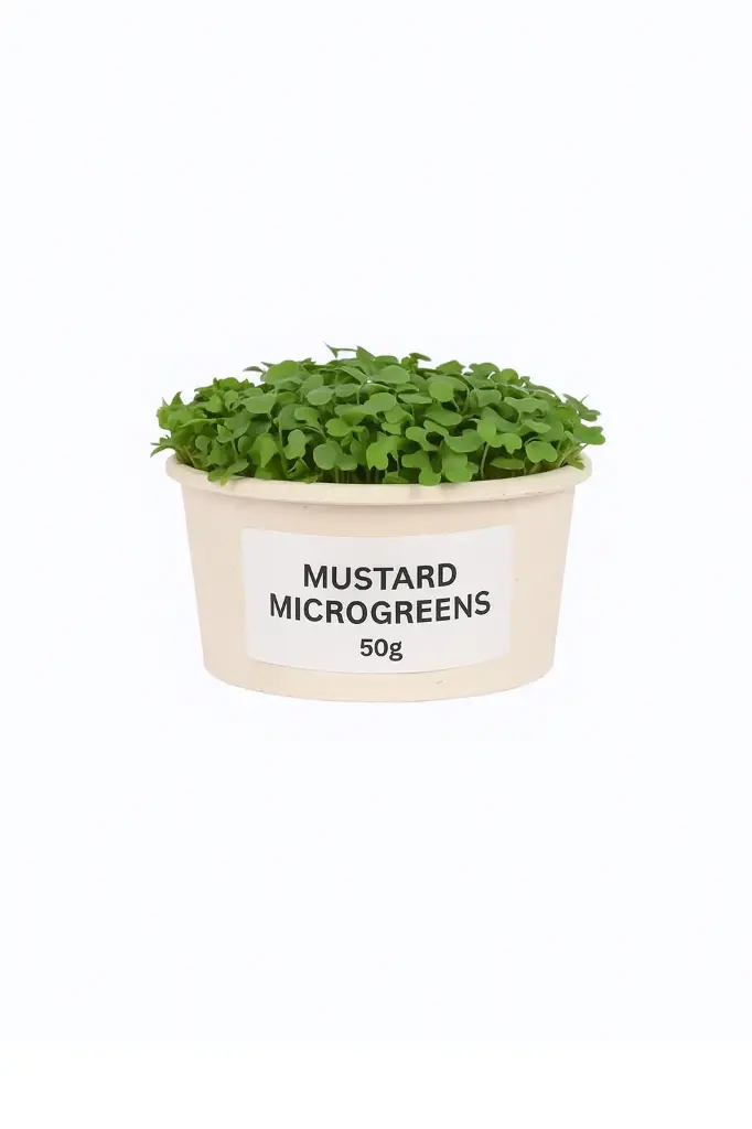 Mustard Microgreens