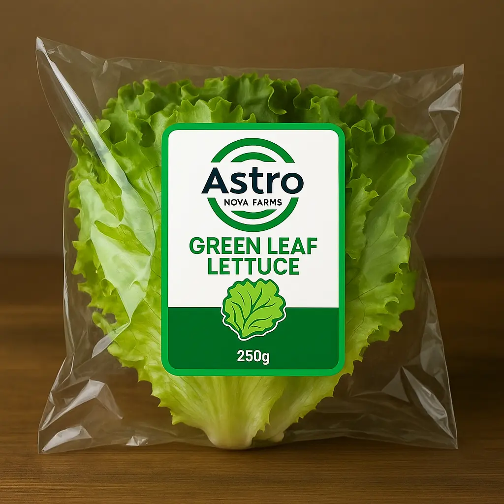 Green Leaf Lettuce