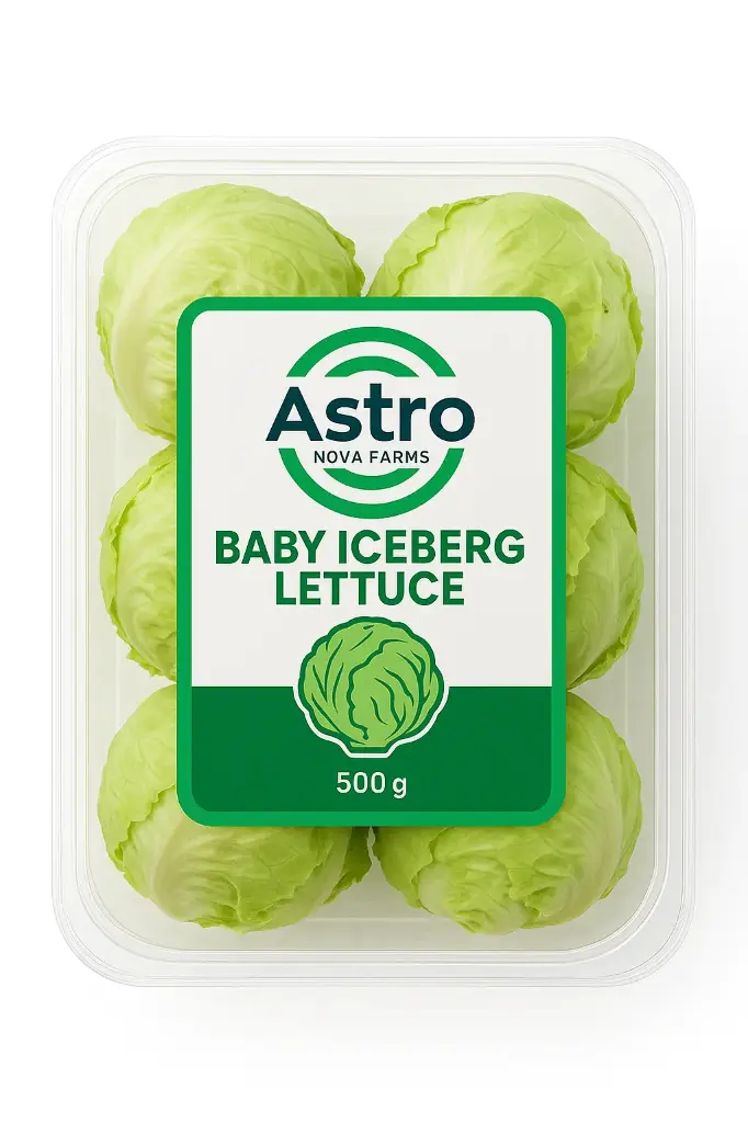 Baby Iceberg Lettuce