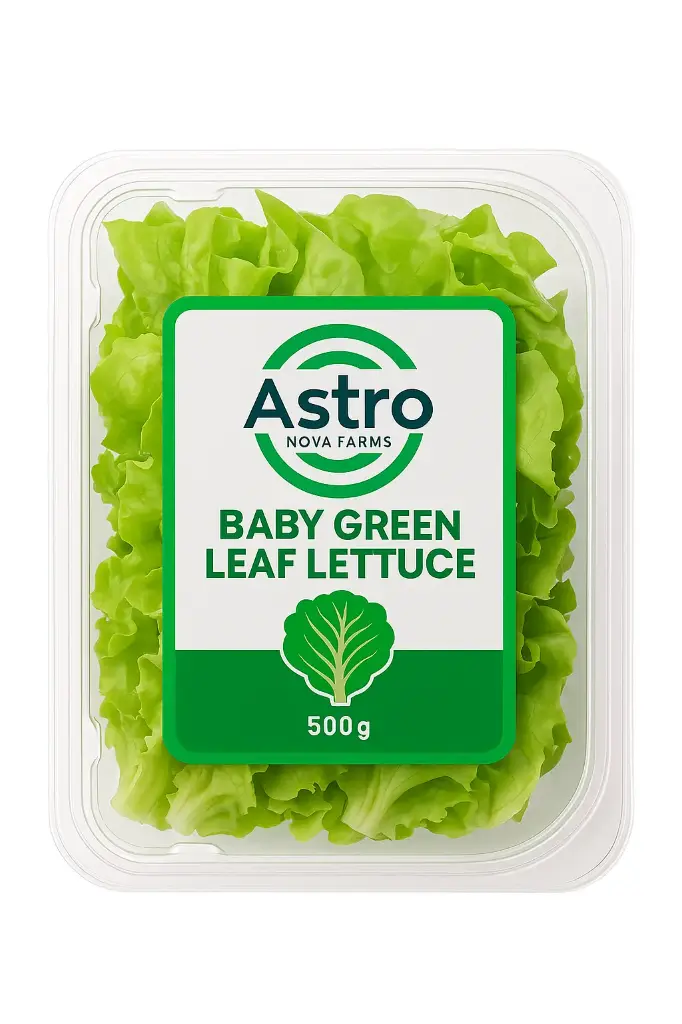 Baby Green Leaf Lettuce
