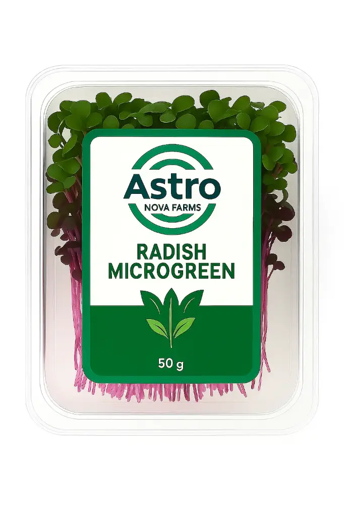 Radish Microgreen