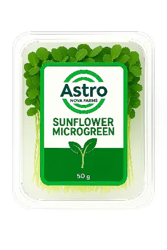 Sunflower Microgreen