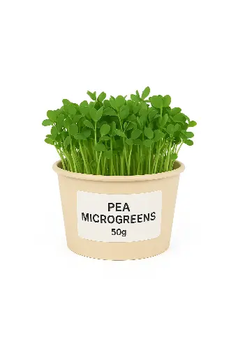 Pea Microgreen