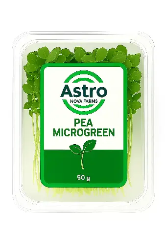 Pea Microgreen