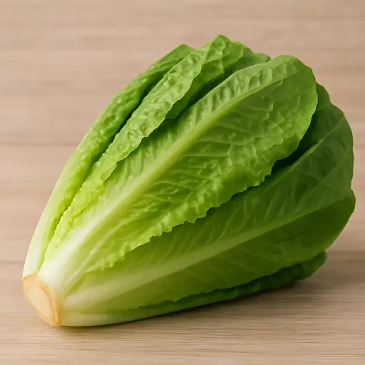 Romaine lettuce
