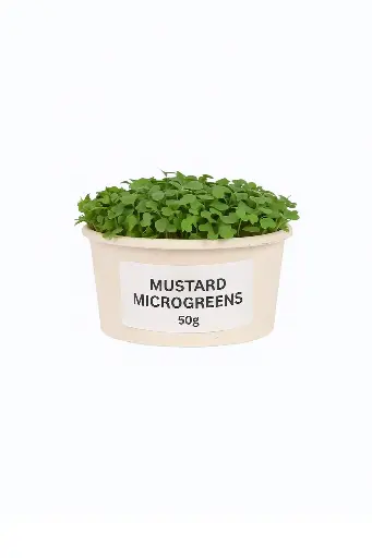Mustard Microgreens