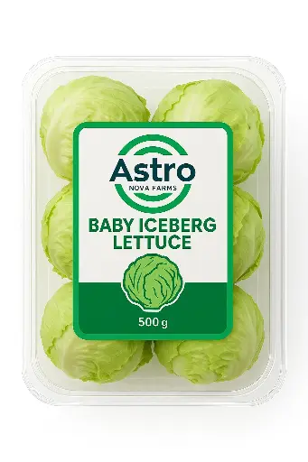 Baby Iceberg Lettuce