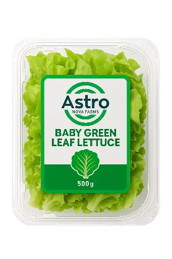 Baby Green Leaf Lettuce