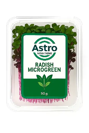 Radish Microgreen