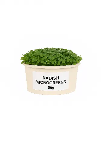 Radish Microgreen